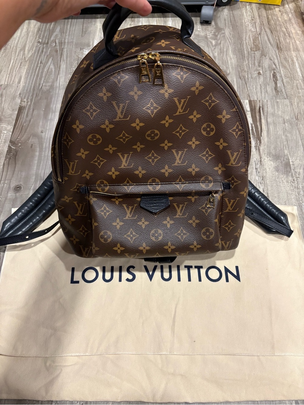 Authentic Louis Vuitton Palm Springs Backpack MM